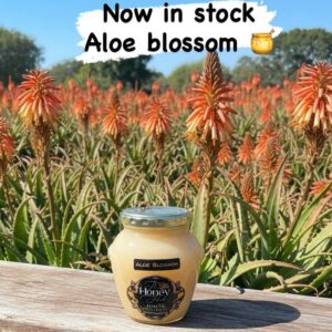 Aloe Blossom